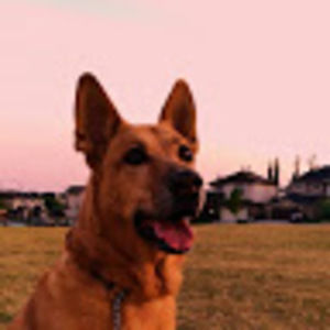 Meet your Posher, Princessa